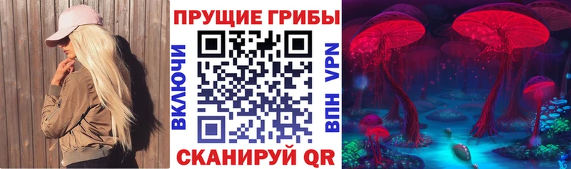 Псилоцибиновые грибы мицелий  сколько стоит  Бугуруслан 